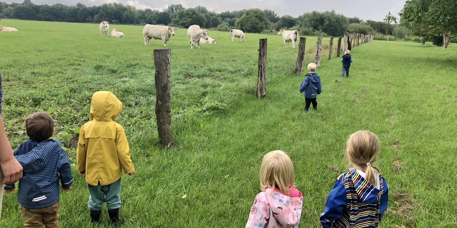 HgidL_Ausflug 16072020